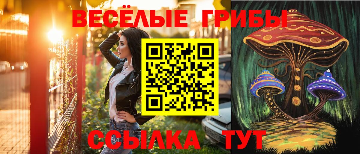 хочу   Вход с VPN  Галлюциногенные грибы GOLDEN TEACHER  Тверь  Псилоцибиновые грибы Cubensis 