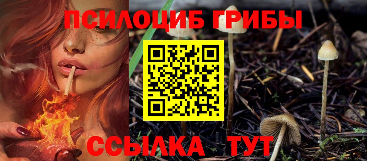Псилоцибиновые грибы Magic Shrooms Тверь